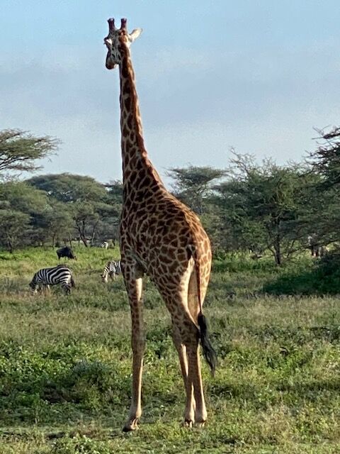 111421-owh-ilo-africatrip-p13